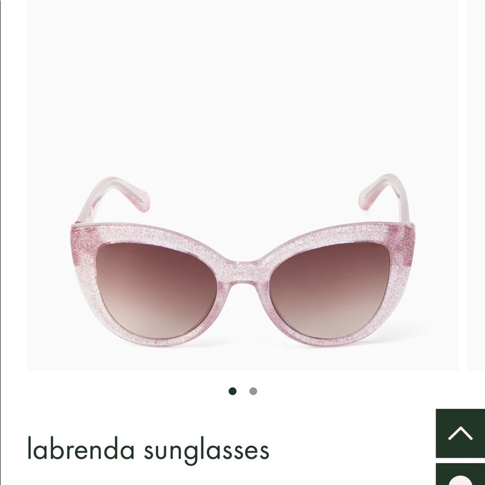 NWT Kate Spade Labrenda Sunglasses